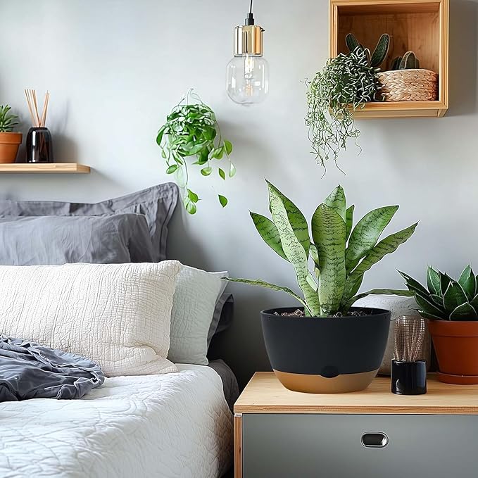 10 Inch Pots for Indoor Plants, Large Self Watering Planters with Drainage and Saucers, Plastic Outdoor Flower Pot, Set of 2, Grey-VerdiqueGarden