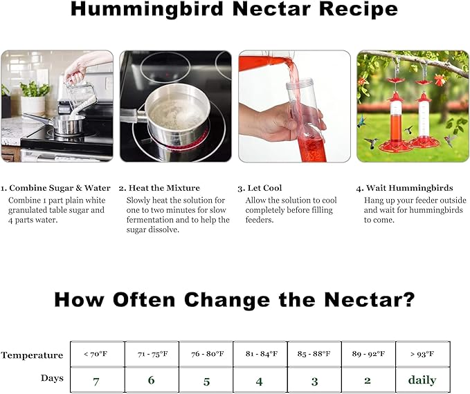 Hummingbird Feeders for Outdoors Hanging - 5 Feeding Ports 320 ml Plastic Hummingbird Feeder, Bee-Proof Leak-Proof No Drip, Easy to Clean with Cleaning Brush-VerdiqueGarden