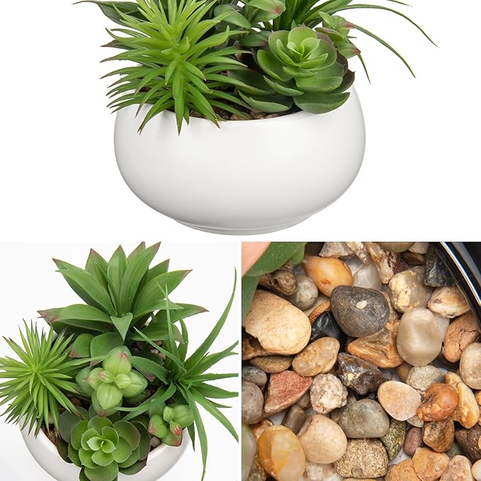 Fake Plants Artificial Succulents in Pots Faux Succulent Arrangement Potted Plant in White Ceramic Planter Bowl for Home Decor Office Desk Bathroom Shelf Living Room Indoor Decorations-VerdiqueGarden