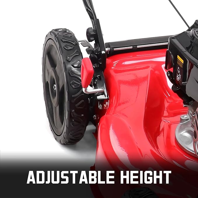 PowerSmart 21 in. Gas Lawn Mower with 125cc Briggs and Stratton E300 Engine, 2-in-1 Push Mower with Mulching & Side-Discharge-VerdiqueGarden