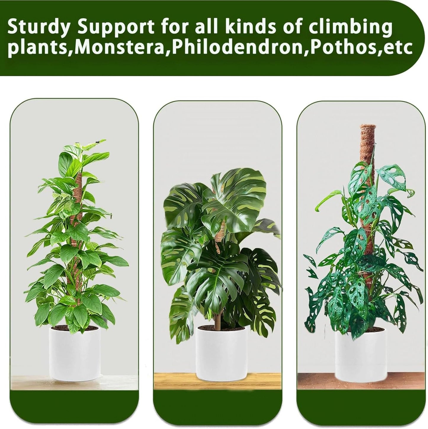 Moss Pole, 4Pack 21 Inch Plant Support Stakes for Indoor Plants, Monstera Plant Support Stakes, 69 Inch Tall Coir Plant Pole Sticks for Potted Plants, Pothos, Philodendron, Climbing Plants Accessories-VerdiqueGarden