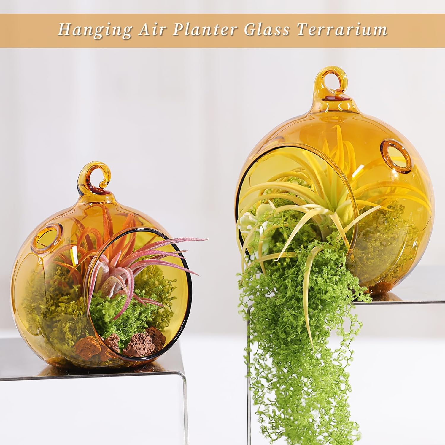 LETINE Assorted Amber Glass Orb Set (12pcs) with 2.17" & 1.93" Spheres - Versatile Tea Light Candle Holders & Air Plant Holders for Boho Wedding Decor-VerdiqueGarden