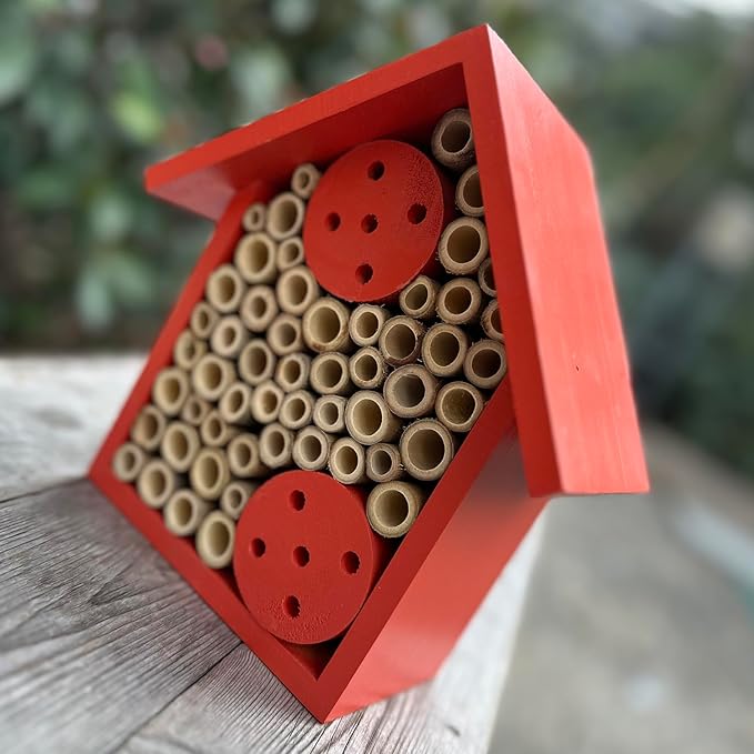 Mason Bee Houses Outdoor Wooden Bee Hotel for Garden and Yard Hand-Made Bamboo Bee Hive for Bees Butterflies and Ladybugs, Medium Size 8"x7.5"x5", Red-VerdiqueGarden