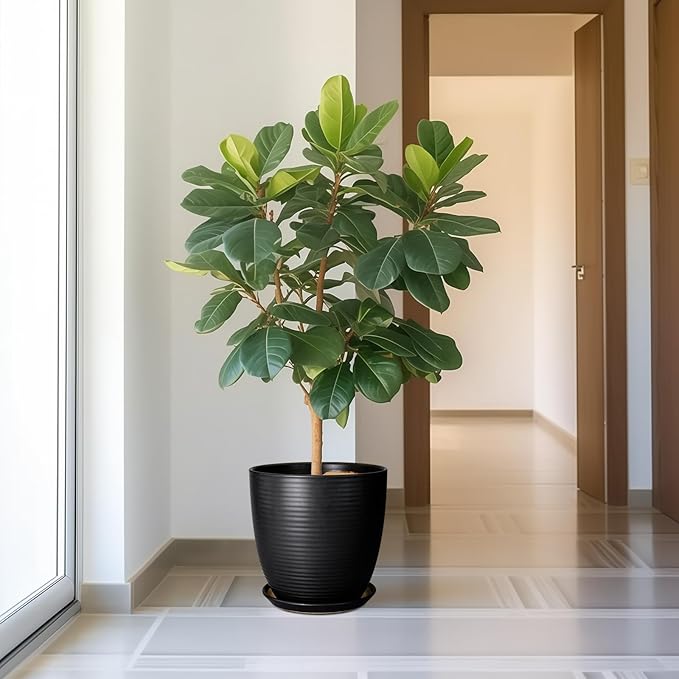 12 Inch Pots for Plants - Ceramic Planter Pot, Large Flower Pot with Drainage Hole and Saucer for Home Patio Garden Office Indoor Outdoor, Black-VerdiqueGarden