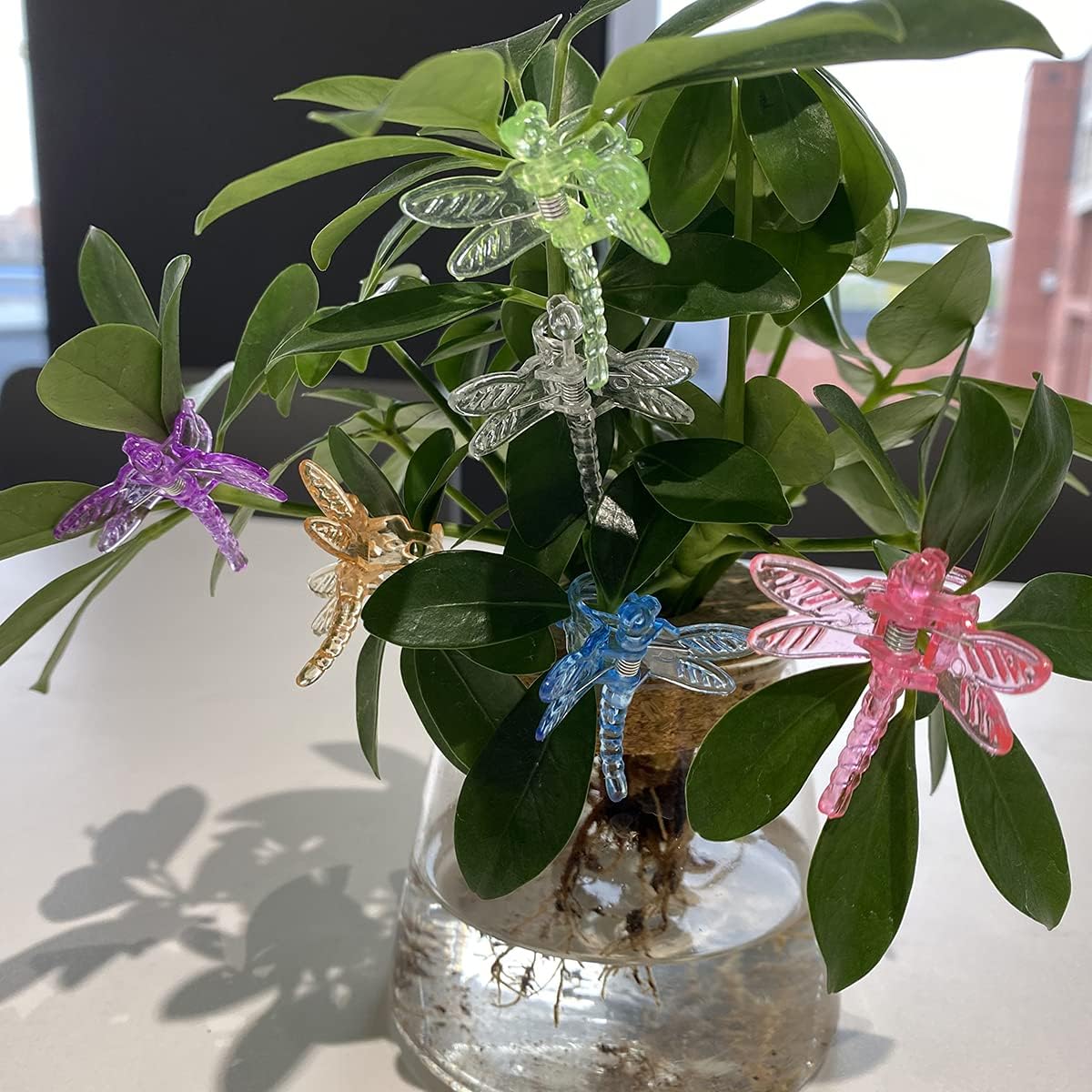 30Pcs Colorful Dragonfly Orchid Clips, Garden Plant Vine Support Clips Flower Clips-VerdiqueGarden