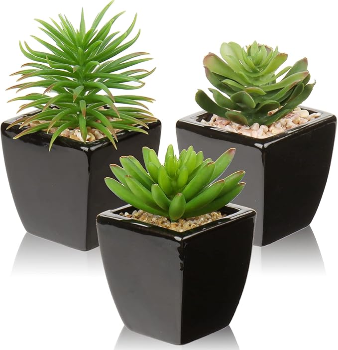 Hollyone Small Succulents Artificial 3 Pcs Faux Succulents in Pots Fake Succulent Plants with Black Ceramic Pots for Modern Home Office Desk Bathroom Shelf Living Room Decor-VerdiqueGarden