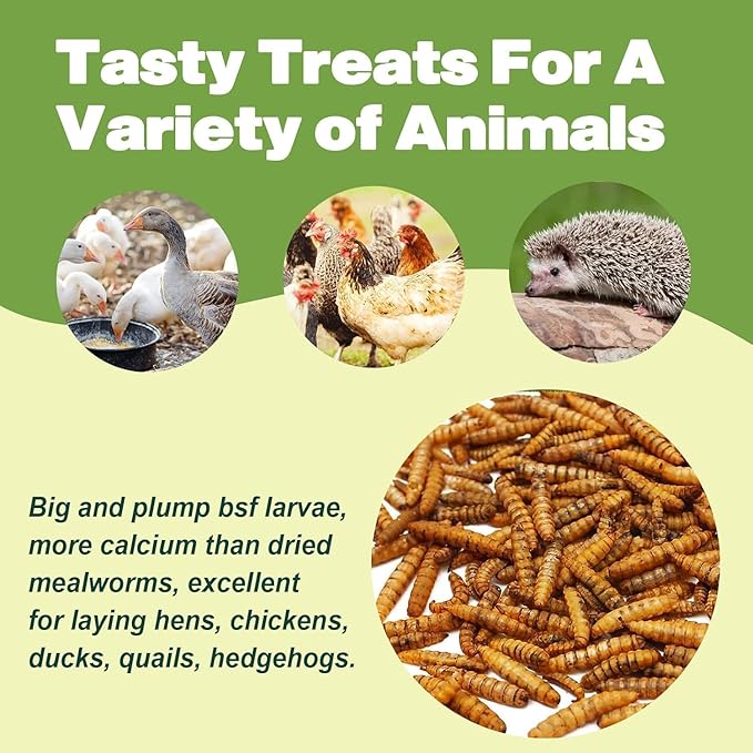 20LB Dried Black Soldier Fly Larvae, 86X Calcium Than Dried Mealworms, High Protein Non-GMO Organic Chicken Feed-VerdiqueGarden