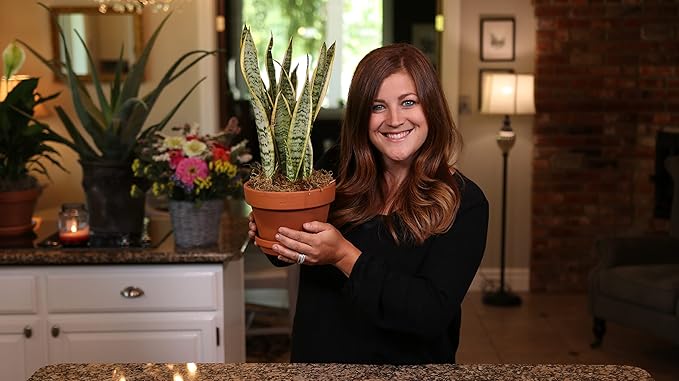 Espoma Organic Potting Soil Mix - All Natural Potting Mix For All Indoor & Outdoor Containers Including Herbs & Vegetables. For Organic Gardening, 8qt. bag. Pack of 2-VerdiqueGarden