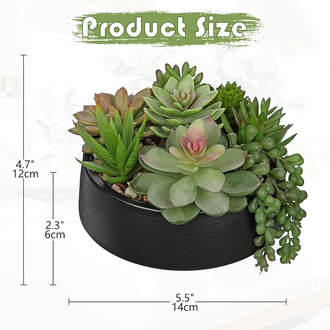DILATATA Artificial Succulent Plants in Pot 5.5 Inch Fake Succulents Arrangement Potted Plant in Black Ceramic Planter Bowl for Home Office Desk Shelf Living Room Bedroom Bathroom Decor-VerdiqueGarden
