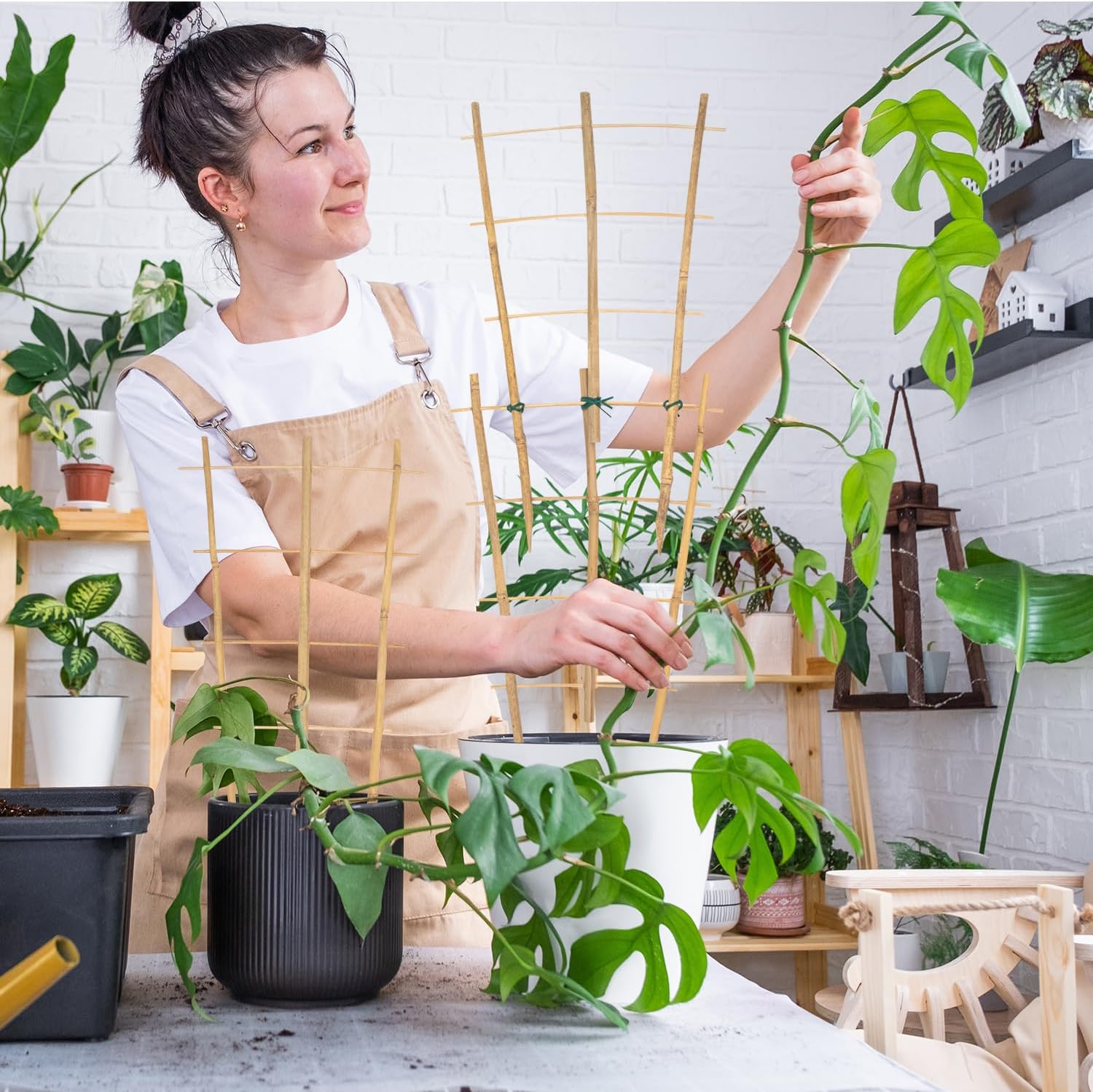 Garden Bamboo Trellis 16 Inch Fan Shaped Small Plant Trellis,Natural Wood Trellis for Climbing Plants Orchid Monstera Indoor Potted Plants-6 Pack-VerdiqueGarden