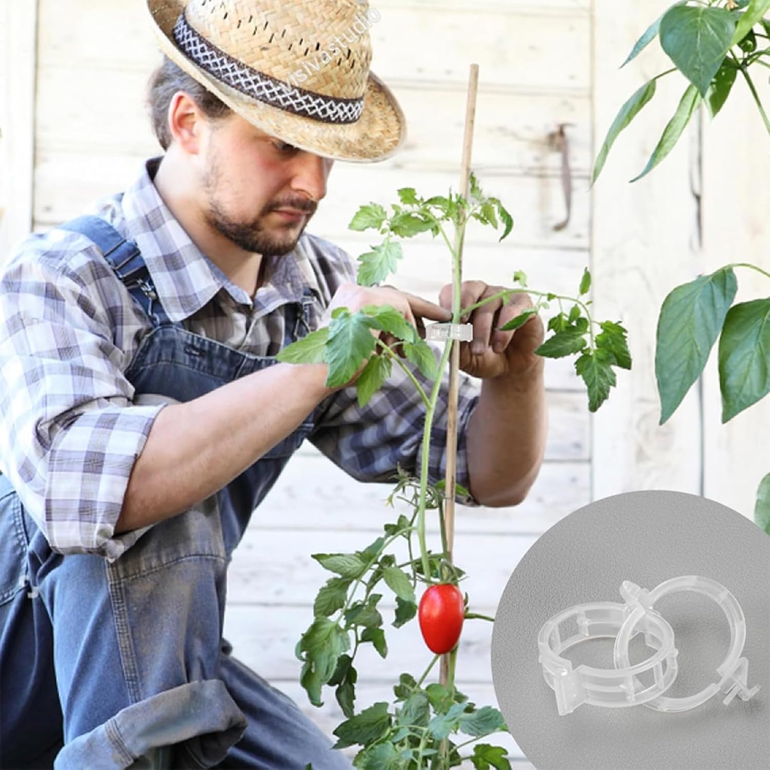 220Pcs Tomato Clips, Plant Support Garden clips, Trellis Clips Plant Support Clip, Vegetable Cages and Supports, Garden Trellis for Climbing Vine Plants, Supports Clip for Tomato Grape Melon-VerdiqueGarden