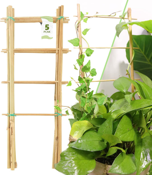 Avalution 5 Pack Bamboo Trellis for Climbing Plants Indoor, 16 Inch Garden Ladder Trellis for Potted Plants, Fan-Shaped Small Plant Support Trellis for Houseplants Ivy Hoya Vine Monstera-VerdiqueGarden