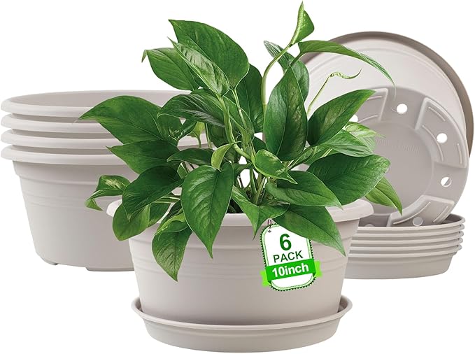 6 Pack 10 inch Plant Pot, Outdoor Pots for Plants with Drainage Hole & Tray Saucer, Round Plastic Plant Pot, Decoration Flower Pots for Indoor Plants Home Garden Outdoor Planters (White)-VerdiqueGarden