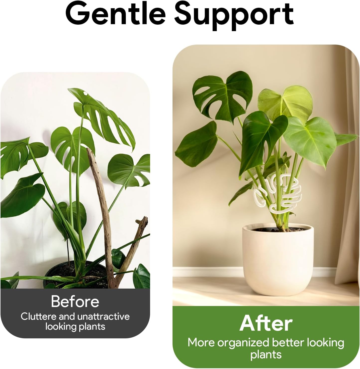 2 Pack Plant Stem Support,Plant Stem Holder, Plastic Monstera Plant Support, Climbing Houseplant Stem Supports Stakes-VerdiqueGarden