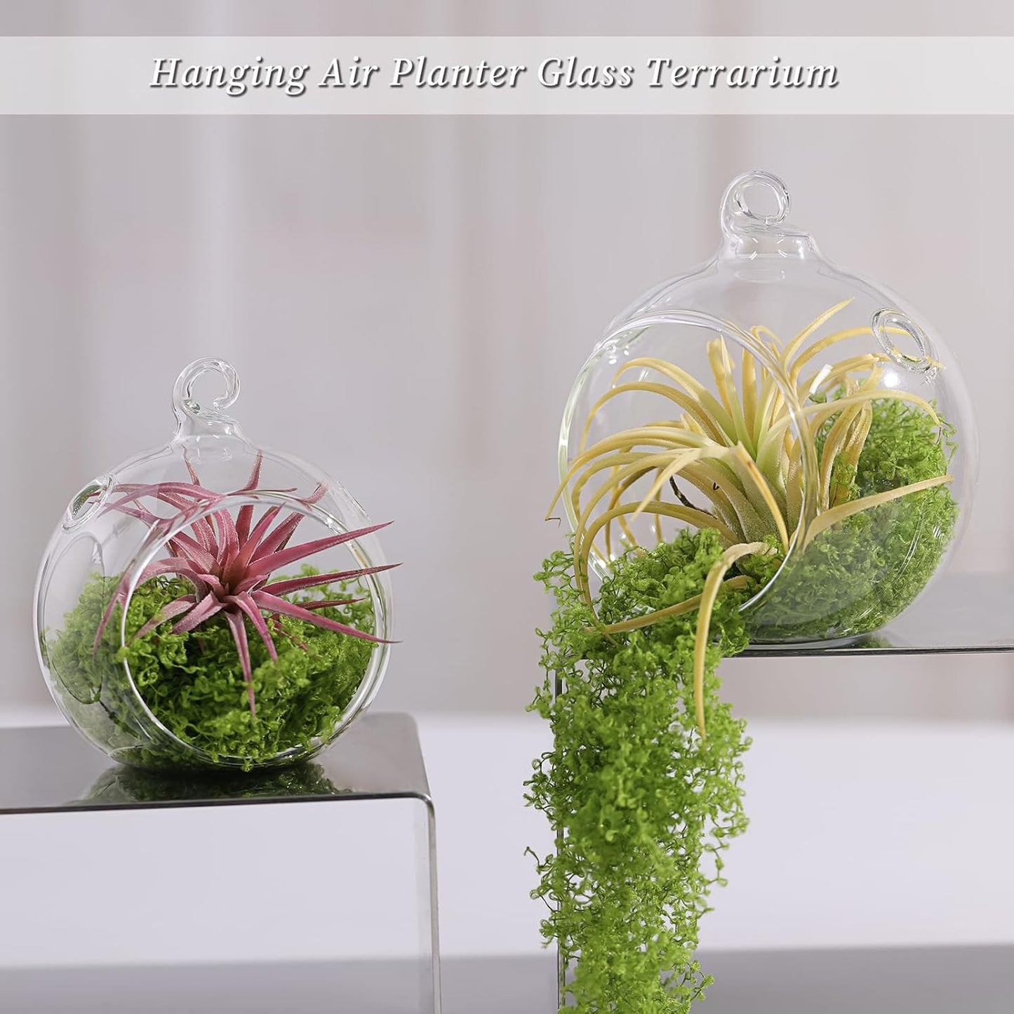 LETINE 12pcs Assorted Glass Orb Set, with 2.17" and 1.93" Spheres | Hanging Glass Tealight Holder Globe, Air Plant Terrarium Supplies for Wedding Favors, Votive Candle Holders,Christmas Decorations-VerdiqueGarden