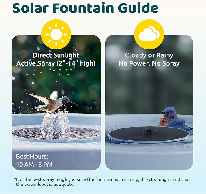 Birdfy Smart Bird Bath with Camera Solar Powered & Fountain, Dual-Lens Camera for Wildbird Watching, Auto Capture Bird Videos & Motion Detection - AI Lifetime Version-VerdiqueGarden