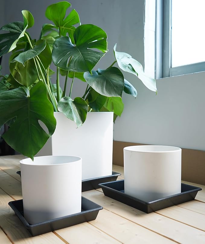 Square Plant Saucer 14 Inch 5 Pack 8 12 14 16 18 20 Plant Trays for Pots Heavy Duty Plastic Plant Saucers for Indoors Outdoors, Flower Pot No Holes Plant Drip Trays-VerdiqueGarden