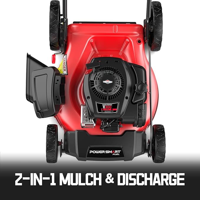 PowerSmart 21 in. Gas Lawn Mower with 125cc Briggs and Stratton E300 Engine, 2-in-1 Push Mower with Mulching & Side-Discharge-VerdiqueGarden