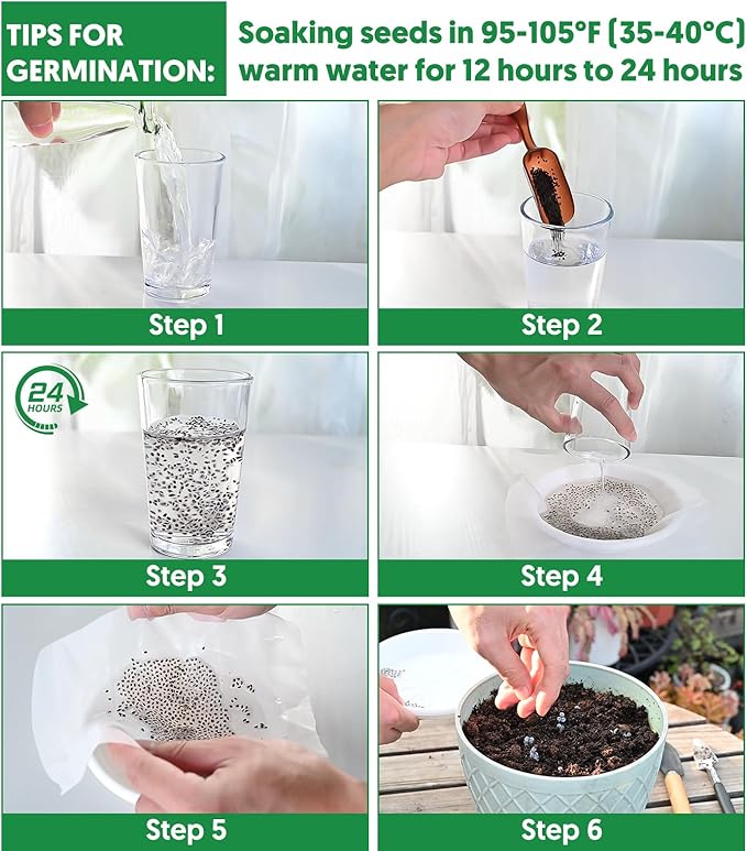 1,500+ Tomato Seeds, Heirloom Vegetable Seed for Planting Indoor Outdoor, 10 Varieties Salad Tomato Seeds Garden Hydroponic Kit, Non-GMO Home Hydroponic Fresh Food Veggie Supply-VerdiqueGarden