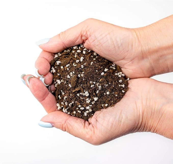 House Plant and Tropical Plant Potting Soil - Re-Potting Soil for All Types of Indoor House Plants - 2 Quart Bag-VerdiqueGarden