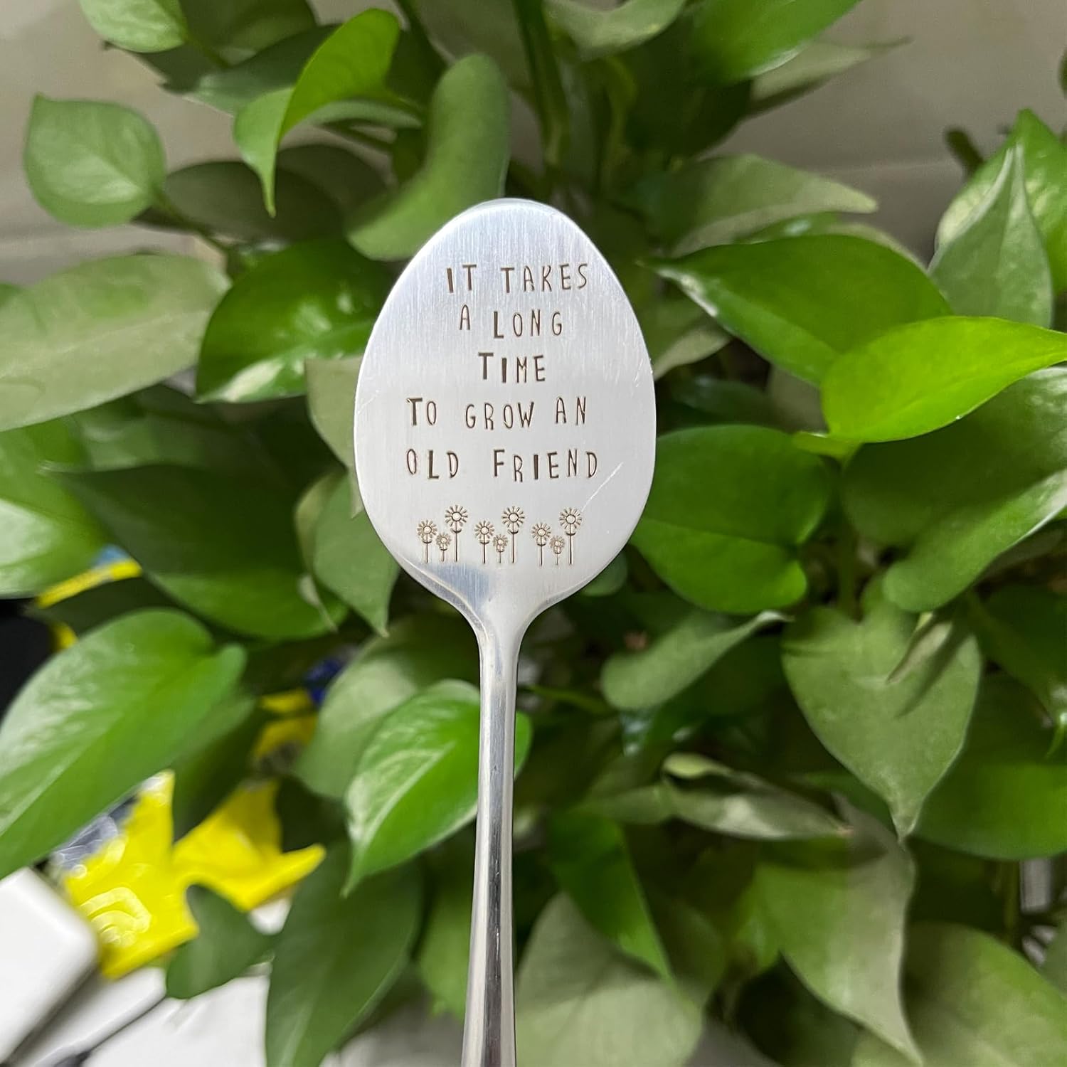 Garden Friendship Gift for Women Gardeners, Plant Marker Stake Label Sign Tag, Gardening Gifts for Woman Plant Lovers, Metal Garden Decoration (Grow an Old Friend-B)-VerdiqueGarden