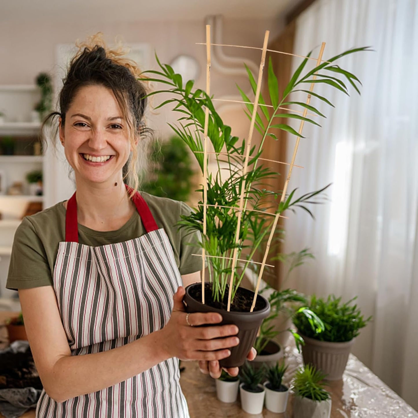 3PCS Fan-Shaped Bamboo Trellis, 2Ft Plant Trellis Indoor, Small Trellis for Potted Plants Indoor, Climbing Plants, Vegetables-VerdiqueGarden