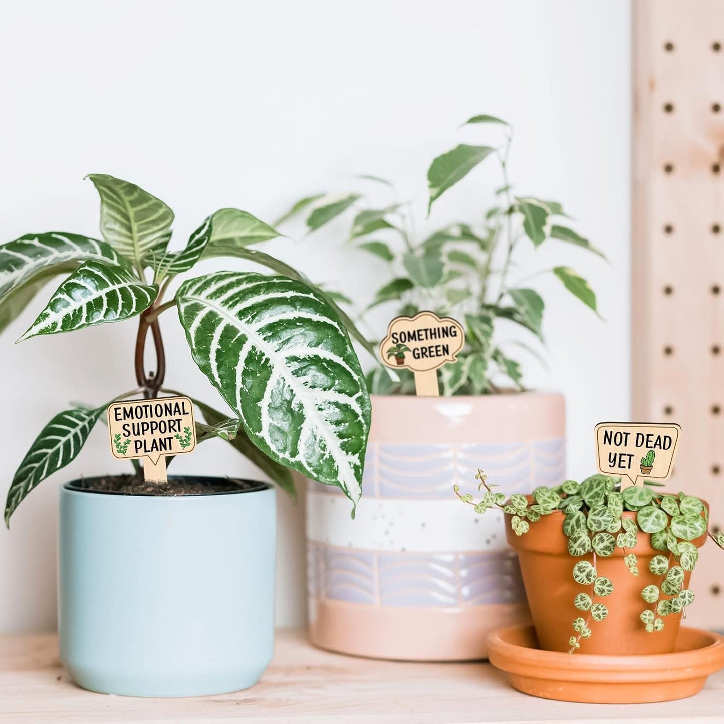 Huray Rayho Funny Wooden Plant Markers for Succulent Flowers Greenery Plants Tags 15-Pack Waterproof Wood Plant Labels Outdoor Indoor Patio Supplies Garden Stakes for Potted Plant Novelty Gifts-VerdiqueGarden