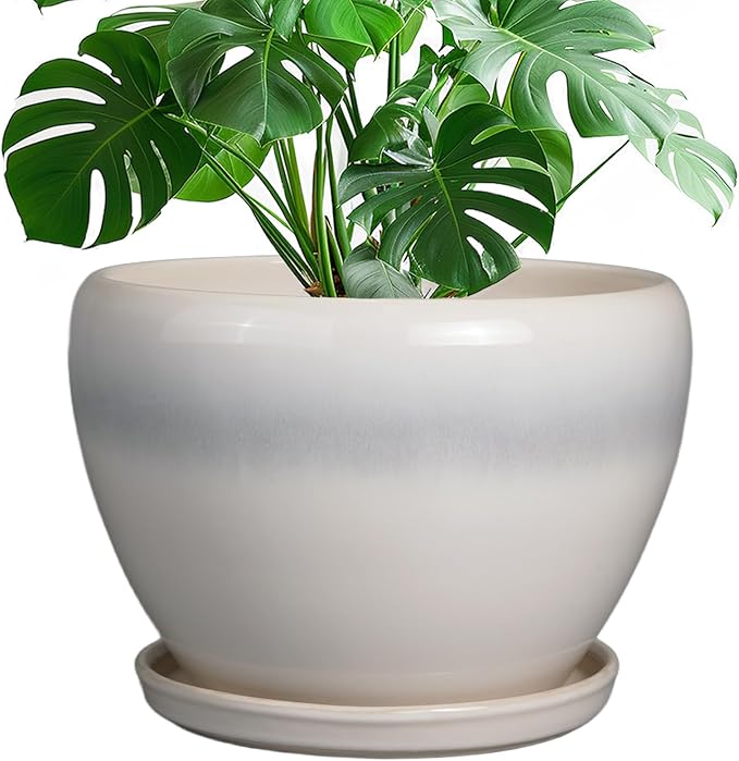 10 Inch Ceramic Planter Pot - Large Plant Pot with Drainage Hole and Saucer Round Flower Pot for Indoor Plants, White-VerdiqueGarden