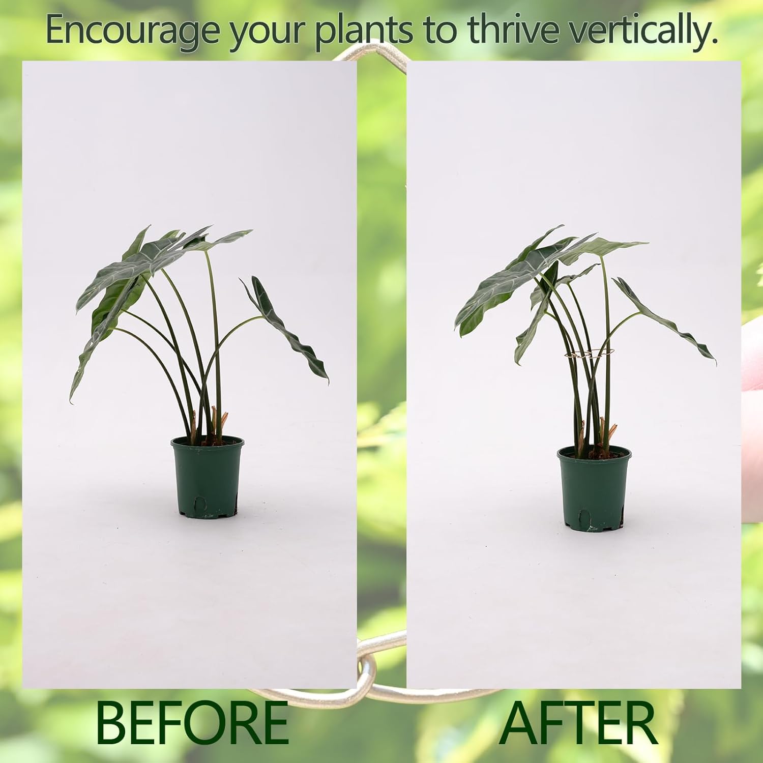 5Pcs Monstera Stem Support for Indoor Plants - 4.13 * 2.95 in- Durable Plant Support Stake Holder & Adjustable Clamp Kit for Monstera and Climbing Plants for Gardening Enthusiasts-VerdiqueGarden