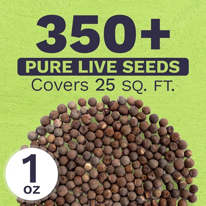 Sweet Pea Seeds Royal Mix - Bulk 1 Ounce Packet - Over 350 Seeds - Large Fragrant Lavender, Purple, Red, Pink and White Blooms-VerdiqueGarden