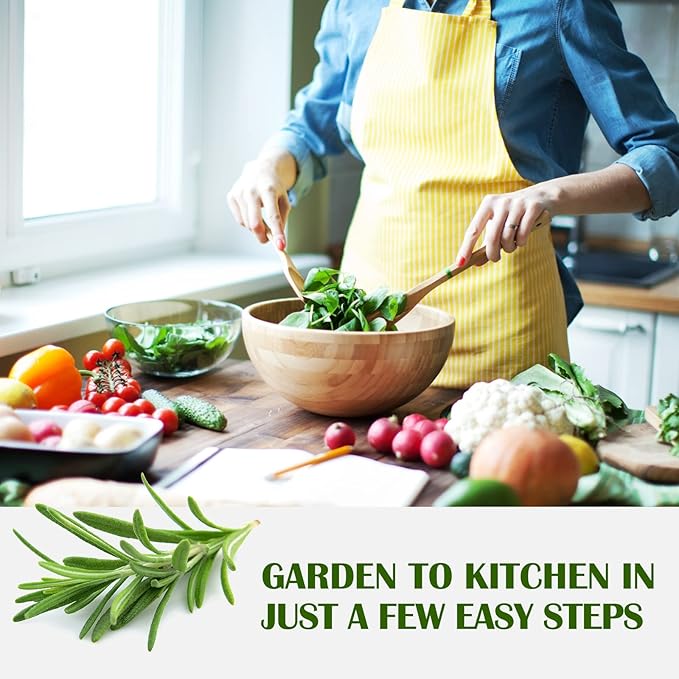 10 Kit Non-GMO Growing into Thyme, Lavender, Chamomile, Dill, Chives, Cilantro, Rosemary, Basil, Parsley, Sage Indoor/Outdoor for Kitchen Windowsill Gardening Gift-VerdiqueGarden