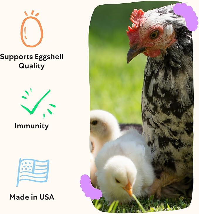 Grubbly Farms Vitamins + Electrolytes Water Supplement for Chickens (30 Day)-VerdiqueGarden