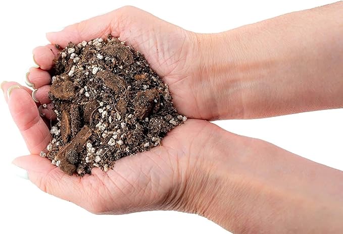 Banana Tree Potting Soil - Professional Grade Mix for Growing Delicious Bananas - Enhanced with Essential Nutrients for Bountiful Harvests (3 Quart)-VerdiqueGarden