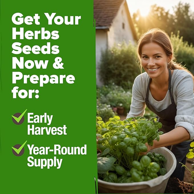 HOME GROWN 5 Herb Seeds for Planting 2,150+ Non-GMO Heirloom Seeds | Extra Large Variety Pack Herb Kit – Indoor Outdoor & Hydroponic | Culinary Seed Set | Grow Your Own Herbs | Gift for Beginners-VerdiqueGarden