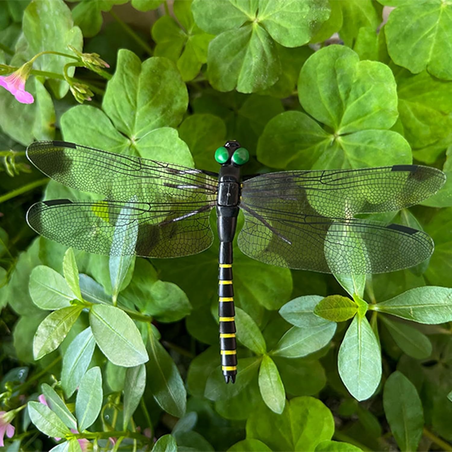 20 Pcs Dragon Fly Clips for Bugs Repellent, 3D Artificial Dragonfly Hat Clip, Dragonfly Garden Decor (20, Black*20 Pcs)-VerdiqueGarden