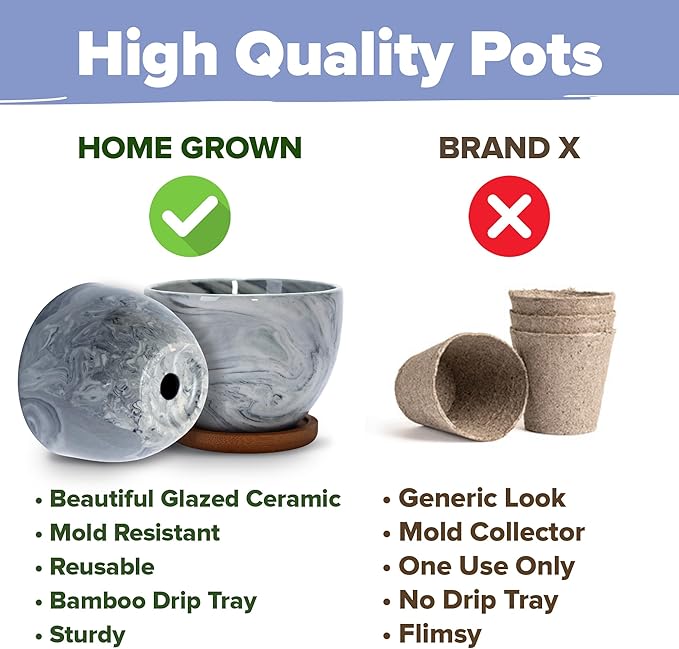 HOME GROWN Bonsai Tree Kit - Premium Ceramic Starter Kit - 4 Variety of Bonsai - Unique Gift for Men and Women Gardeners-VerdiqueGarden