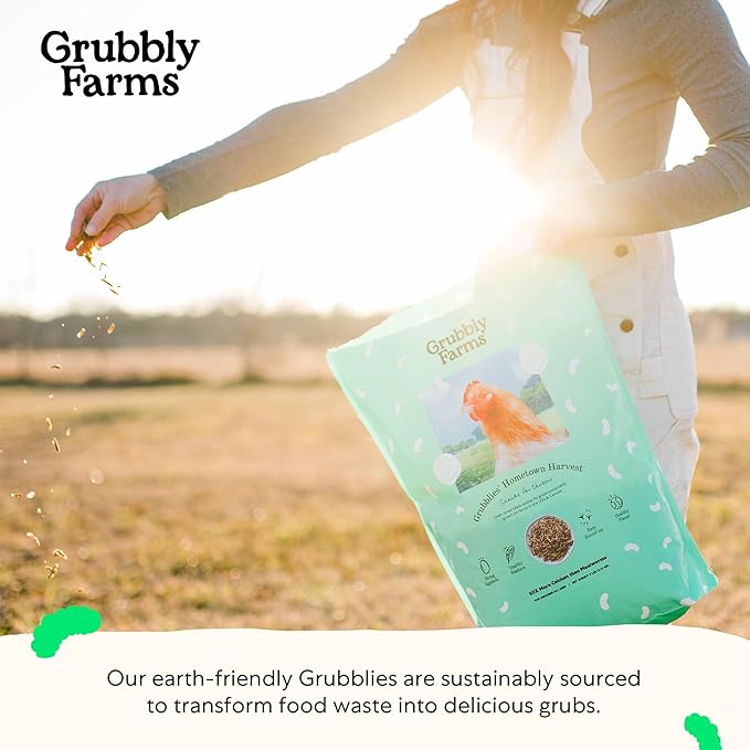 Grubblies - Black Soldier Fly Larvae for Chickens - Chicken Treats Grown in The US and Canada - for Strong Eggshells and Healthy Feathers - Grubblies Hometown Harvest 1LB-VerdiqueGarden
