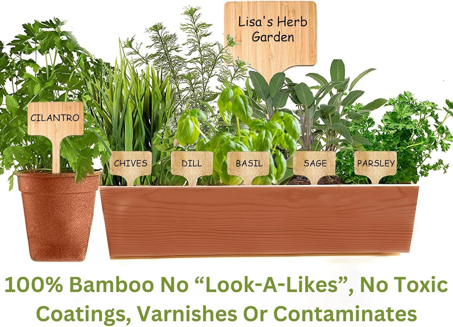 50 Pack 8 Inch Tall Plant Labels Large Garden Markers Plant Name Tags for Flowers, Herbs, Vegatables, Seeds, Bulbs Easy to See Larger Writing Area with Full Size Marker-VerdiqueGarden