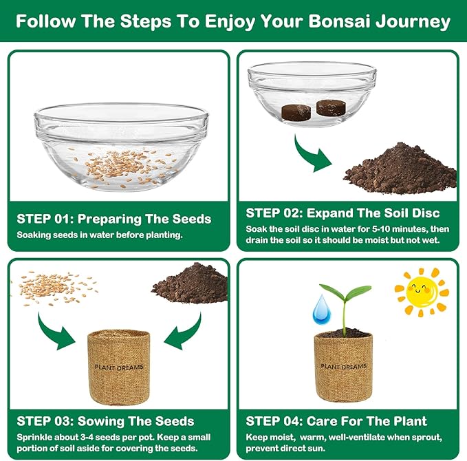 Bonsai Tree Kit, Bonsai Starter Kit for Growing Bonsai Plants with Tools, Grow Bonsai Tree Live Indoor, Garden Crafts Hobby Kits, Unique DIY Gardening Gifts for Men Women Mother-VerdiqueGarden