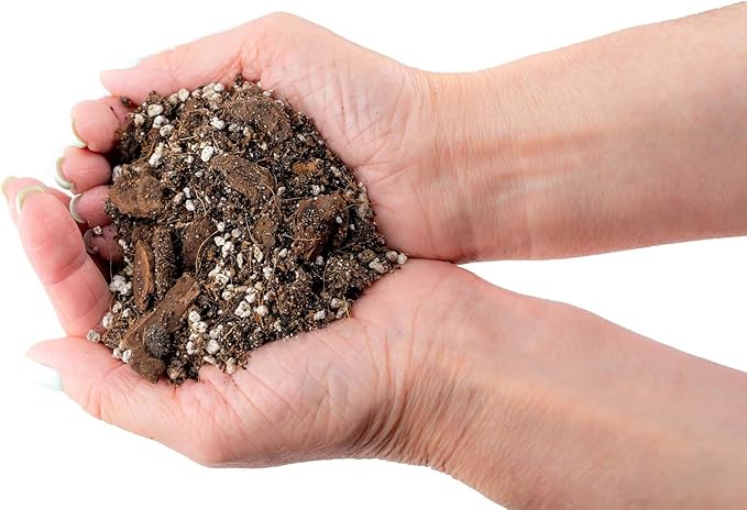 Gardenera's Expert Blend for Peace Lilies: Canadian Peat Moss, New Zealand Bark, Perlite, Bamboo Charcoal Ideal for Indoor Plants - [1-Quart Bag]-VerdiqueGarden