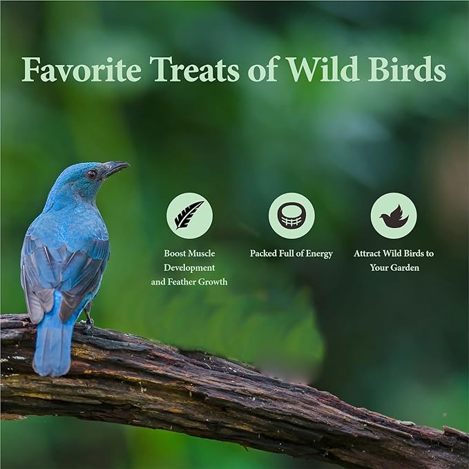 2LB Dried Mealworms for Poultry, Wild Birds,Tasty Bird Food-VerdiqueGarden