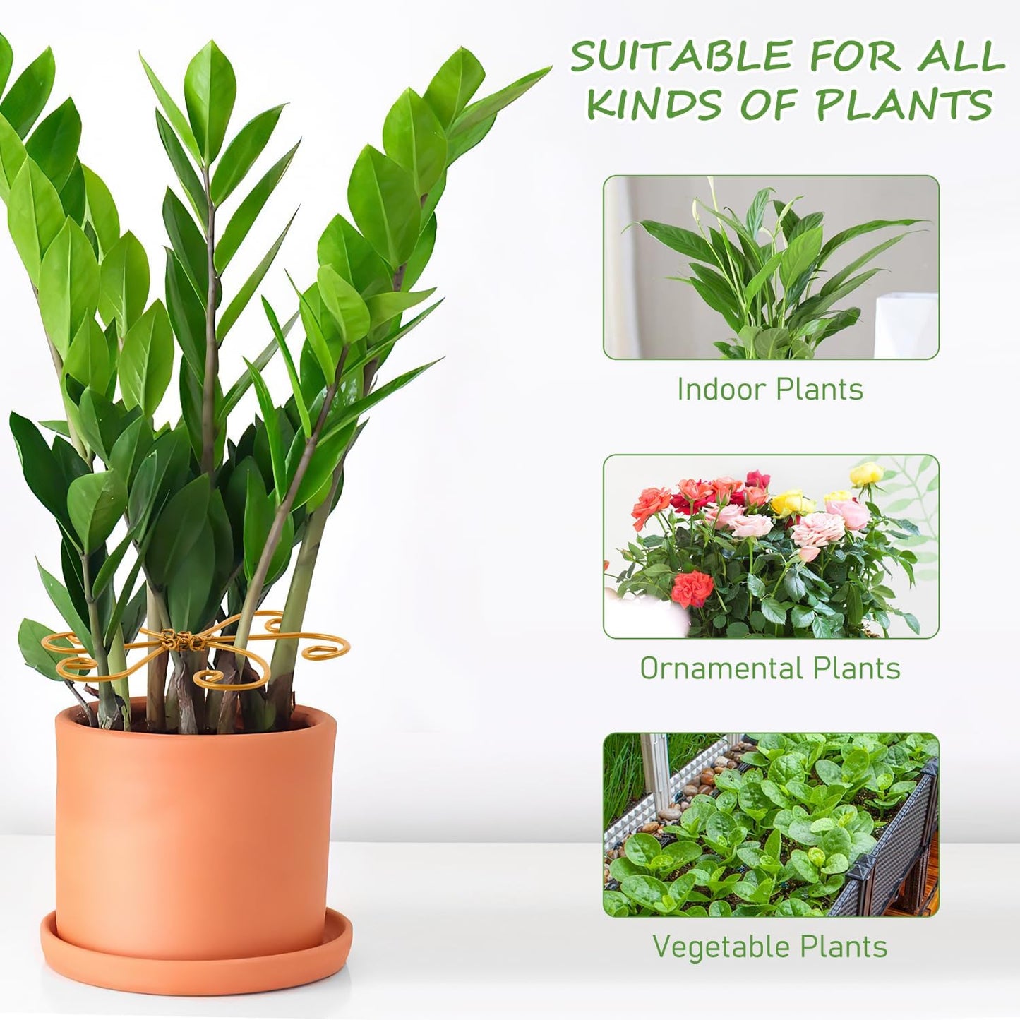 4-Pack Plant Stem Support, Plant Stabilizer for Indoor Plants, Monstera Plant Support System, Plant Stem Holder for Fixing Green Plants and Vines (A+B)-VerdiqueGarden