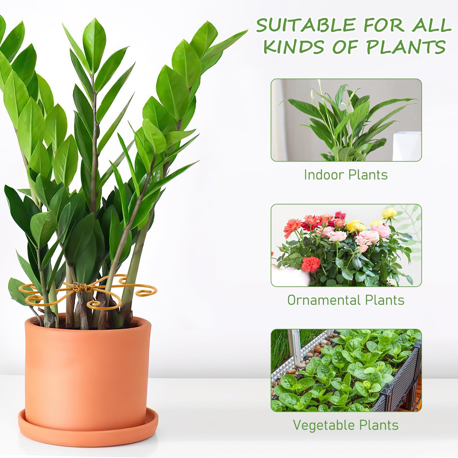 4-Pack Plant Stem Support, Plant Stabilizer for Indoor Plants, Monstera Plant Support System, Plant Stem Holder for Fixing Green Plants and Vines (A+B)-VerdiqueGarden