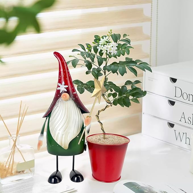 HONGLAND Outdoor Decorations Metal Gnome Yard Art Garden Gnomes Statue 13 Inch Santa Figurine, Succulent Flower Pot, Fun Metal Planter-VerdiqueGarden