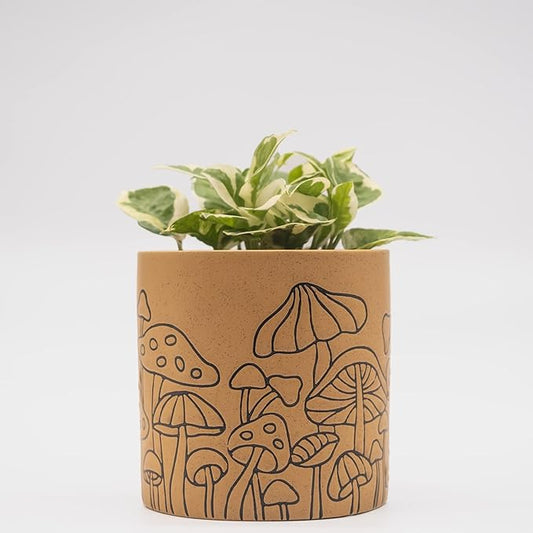 BASE ROOTS Mushroom Planter, Speckled Terracotta, Indoor/Outdoor, Holds Small Plants-VerdiqueGarden