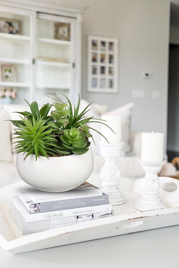 Fake Plants Artificial Succulents in Pots Faux Succulent Arrangement Potted Plant in White Ceramic Planter Bowl for Home Decor Office Desk Bathroom Shelf Living Room Indoor Decorations-VerdiqueGarden