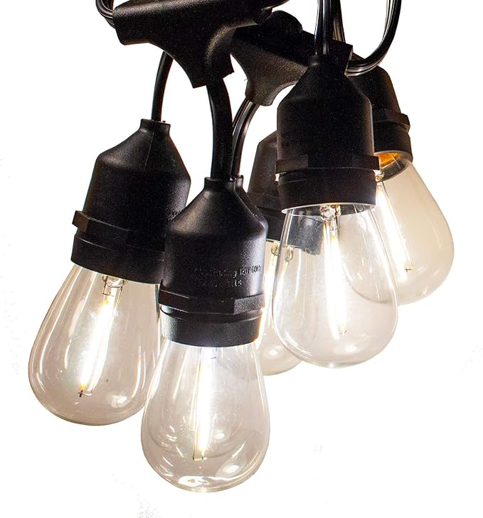 Hometown Evolution, Inc. 50 Foot E26 LED Outdoor Commercial String Lights with 25 Suspended Sockets and S14 LED Filament 1 Watt Bulbs-VerdiqueGarden