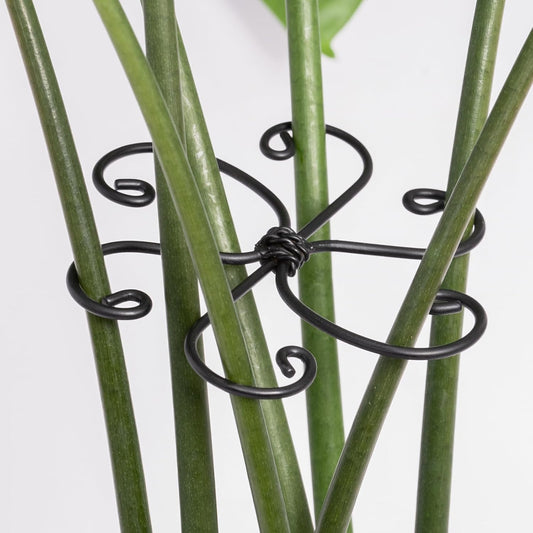 Monstera Plant Support Hook - 4.1x4.1IN 5PCS, Durable Adjustable Stem Support System, Gentle Protection for Monstera and Fishbone Cactus, Professional Indoor Plant Stabilizer-VerdiqueGarden