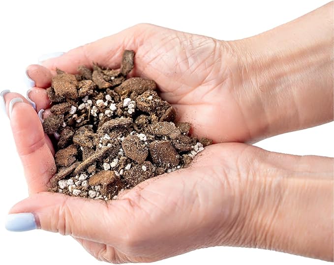 Professional Succulent Soil Premium All Purpose Blend | Pre-Mixed Ready to Use for Cactus and Succulents | Sphagnum Peat Moss, Perlite, New Zealand Pine Bark - Made in USA - 2 Quart-VerdiqueGarden