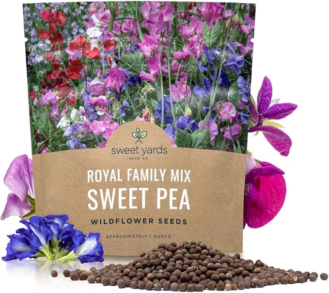 Sweet Pea Seeds Royal Mix - Bulk 1 Ounce Packet - Over 350 Seeds - Large Fragrant Lavender, Purple, Red, Pink and White Blooms-VerdiqueGarden